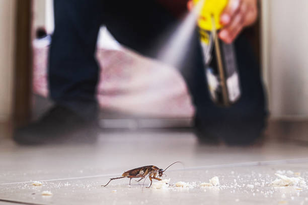 Best Pest Control for Restaurants  in Yulee, FL