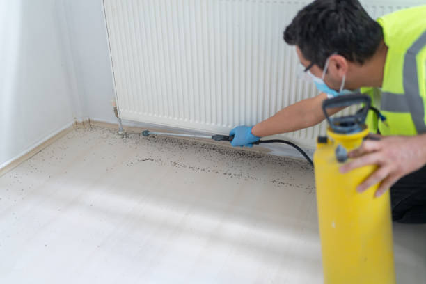 Best Pest Inspection Near Me  in Yulee, FL